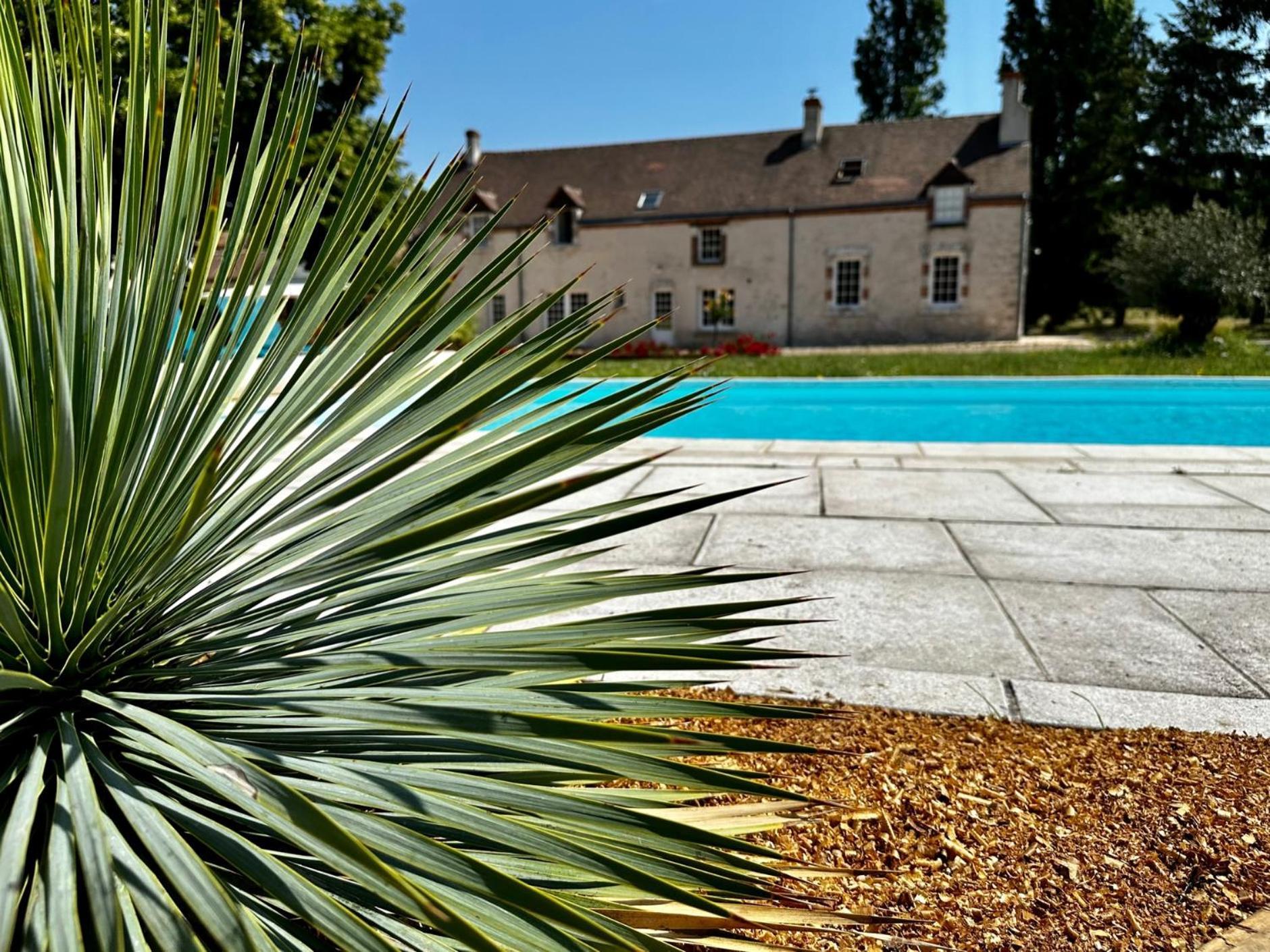 Hotel Domaine De Couilleuse Saint-Laurent-Nouan Zewnętrze zdjęcie