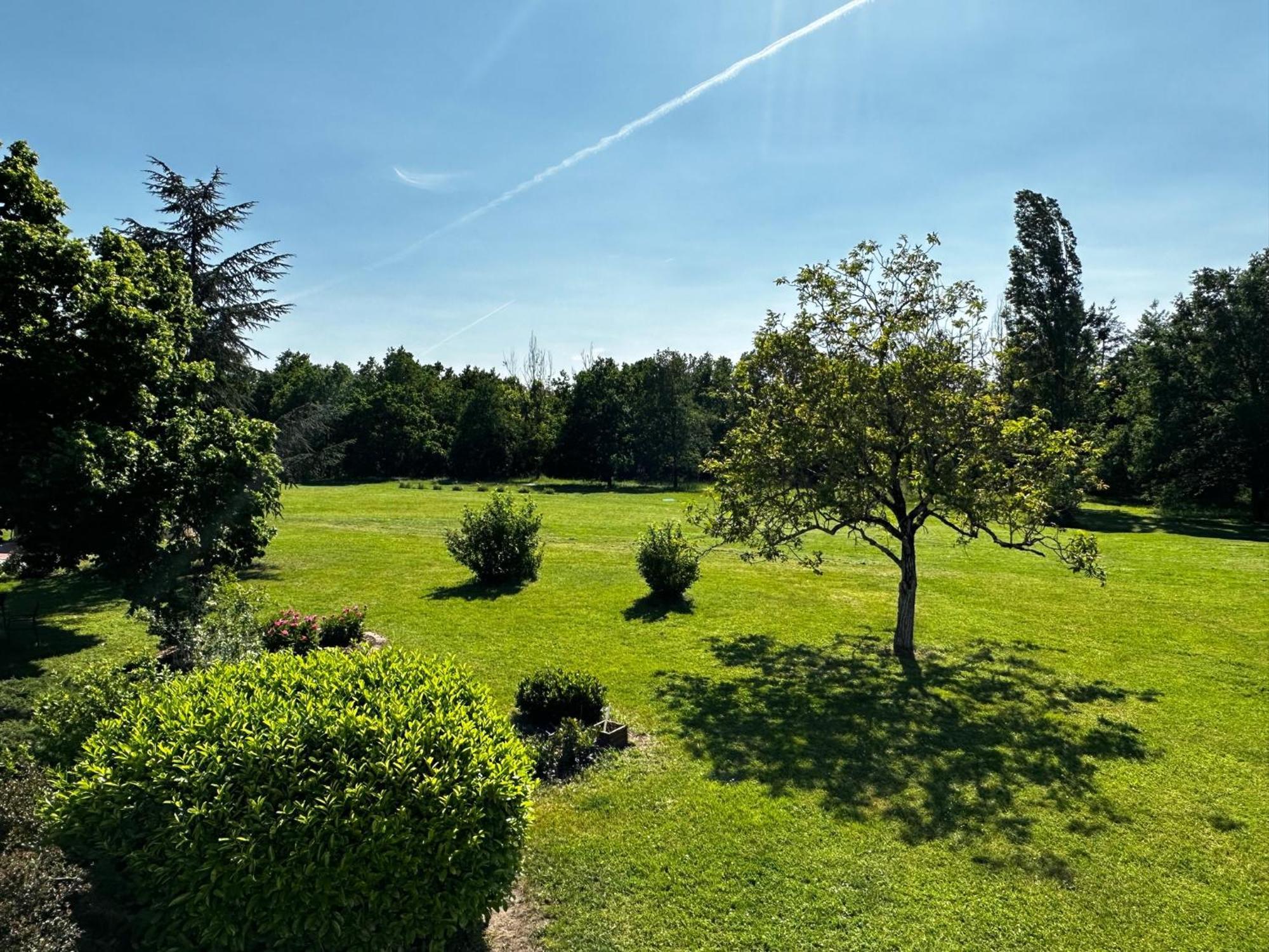 Hotel Domaine De Couilleuse Saint-Laurent-Nouan Zewnętrze zdjęcie